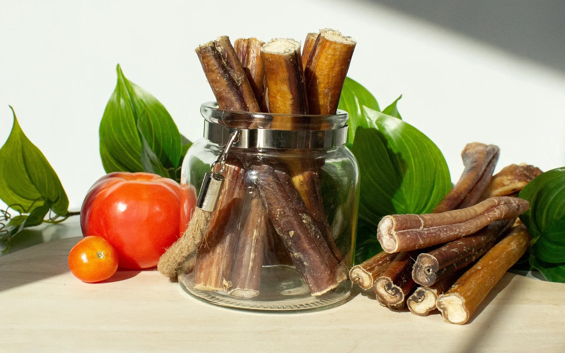 High Quality Organic Beef Pizzle Dog Chew Bully Sticks Dried Natural from India Nutritious Protein-Rich Food Safe for Dogs