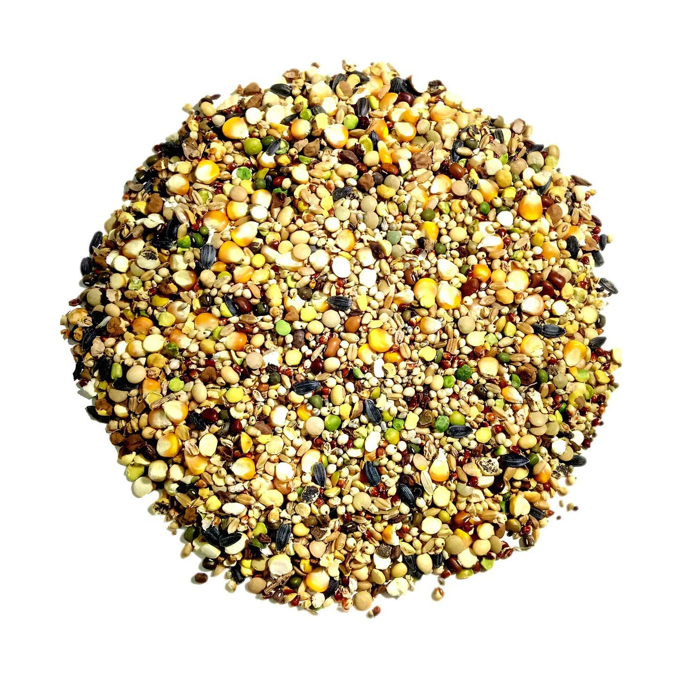 Bulk New Crop Hot Selling Canary Seeds/Quality Canary Seed for Birds Feed