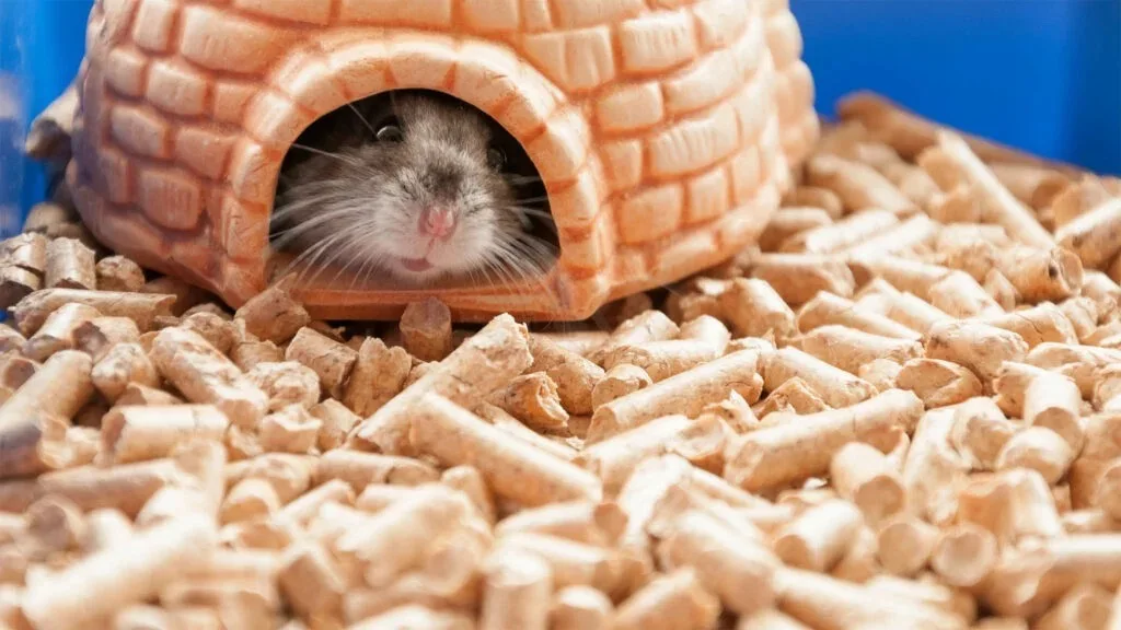 wood pellet cat litter