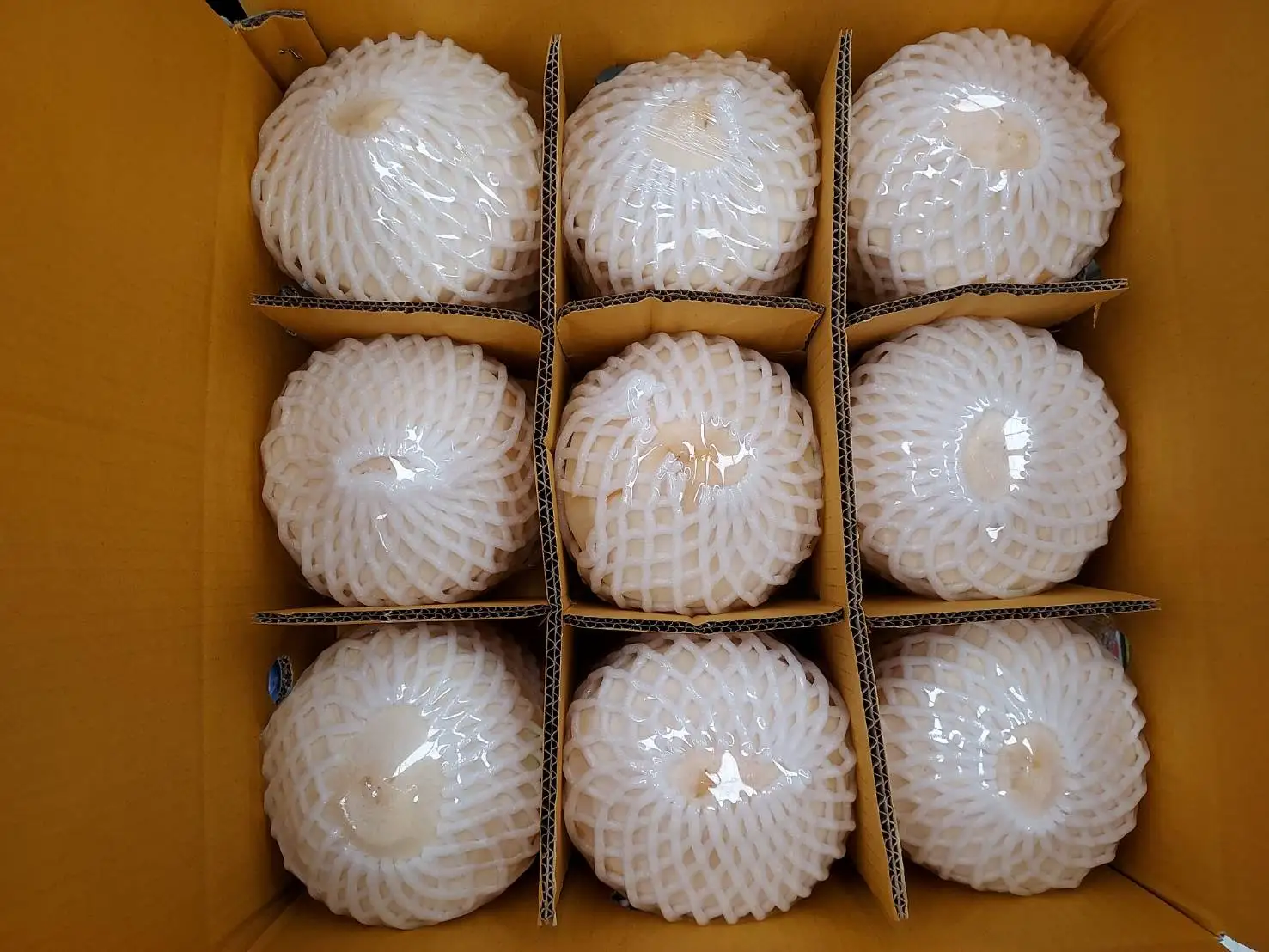 Top Quality Young Fresh Coconut Export From Thailand