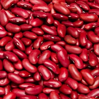 Non-GMO Red Kidney Beans and Red Beans with Wholesale Price / White Kidney Beans / Black Kidney Beans