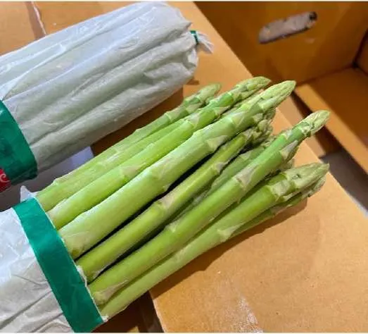 Свежий спаржа, свежий новый урожай, высокое качество