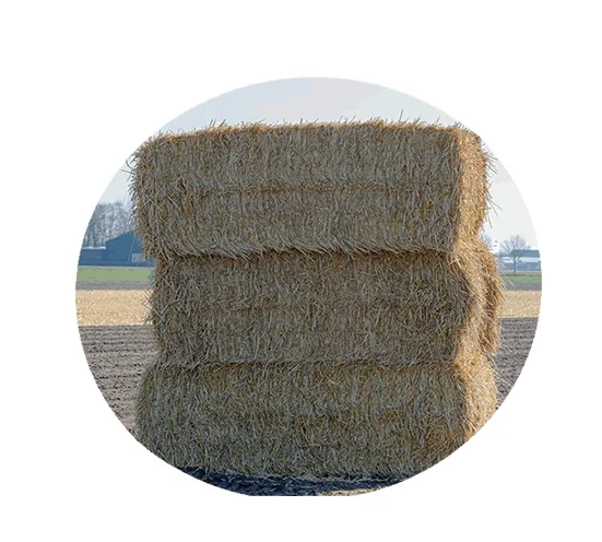 Zero Waste Natural Rice Straw From Pakistan/ High Quality Rice Straw/Animal Feeding Rice Straw Hay Bales for Qatar
