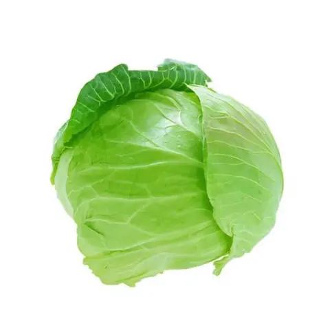Hot Sale - Fresh Round Cabbage with CE HACCP Certificate - High Quality Natural Cabbage for EU