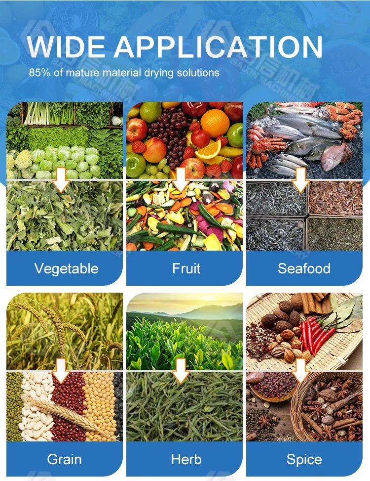 Industrial Food Fruit Dryer Oven Heat Pump Dehydrated Onion Drying Machine Garlic Drying Equipment
