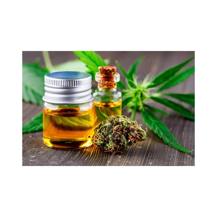 Factory supply 100% natural Olea europaea L Plant Oil Organic Hemp Seed Oil For Health food