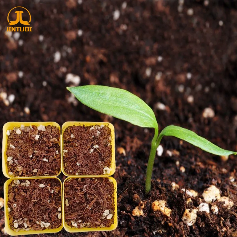 Hot Sale Solid Water Potassium Acrylate for Plant sodium based tree sap