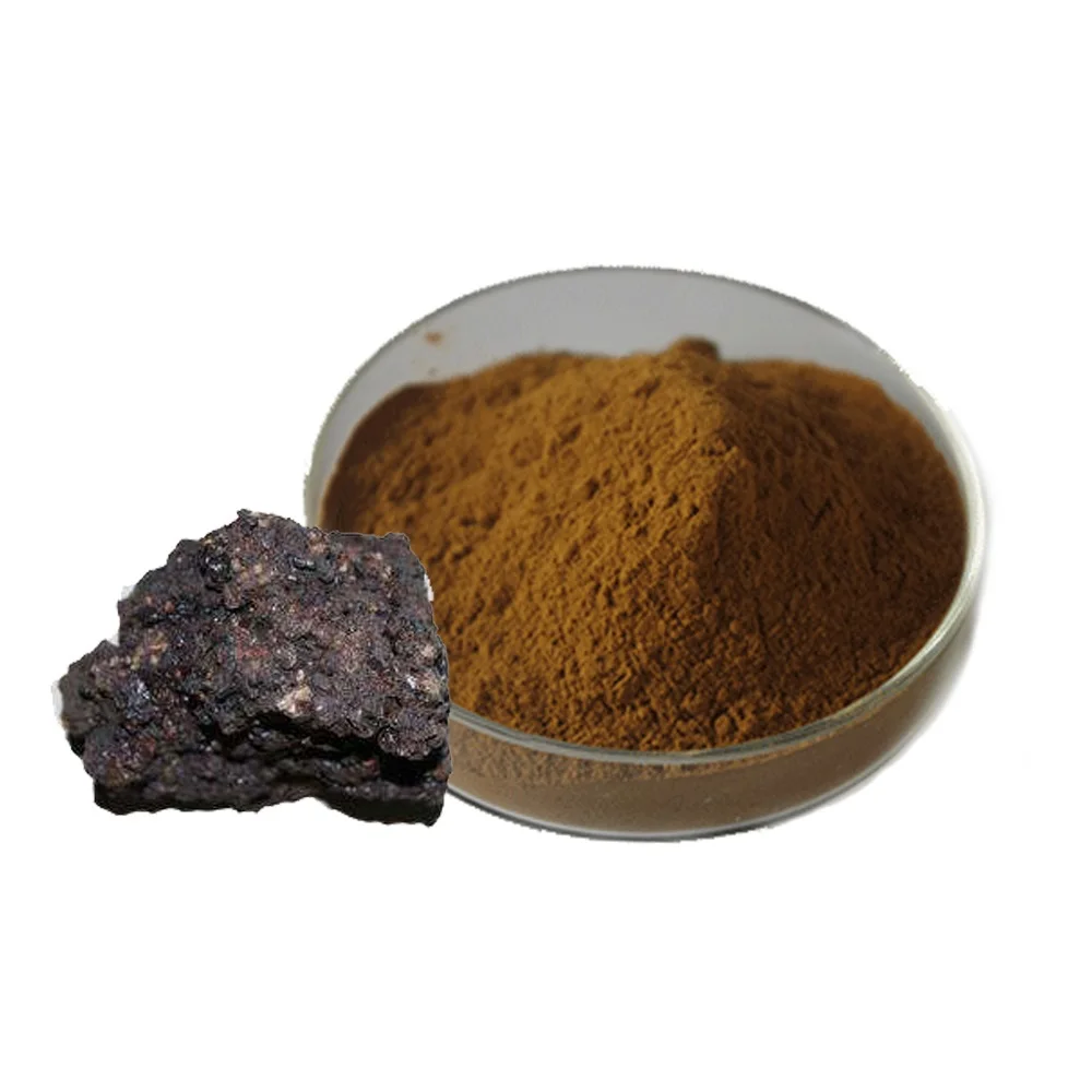Hot Sale  Popular Shilajit Resin Sheelajit 40% Fulvic Acid Powder Shilajit capsule Asphaltum Extract