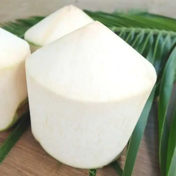 Wholesale coconut- Fresh coconut young - Semi husked coconut with 9pcs / LC- TT payment  from Viet Nam