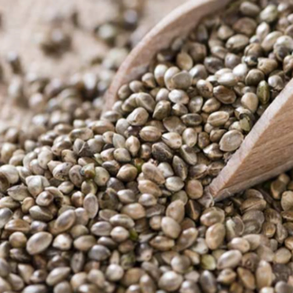 hemp-seeds.png