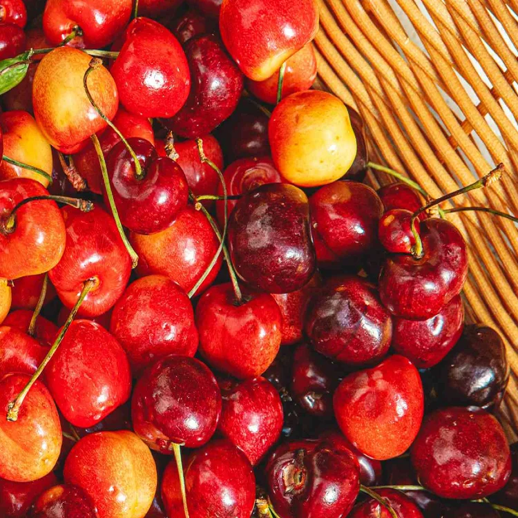 Top Quality Fresh Cherry Natural Sweet Fresh Fruits Cherries for Sale at Cheapest Wholesale Price