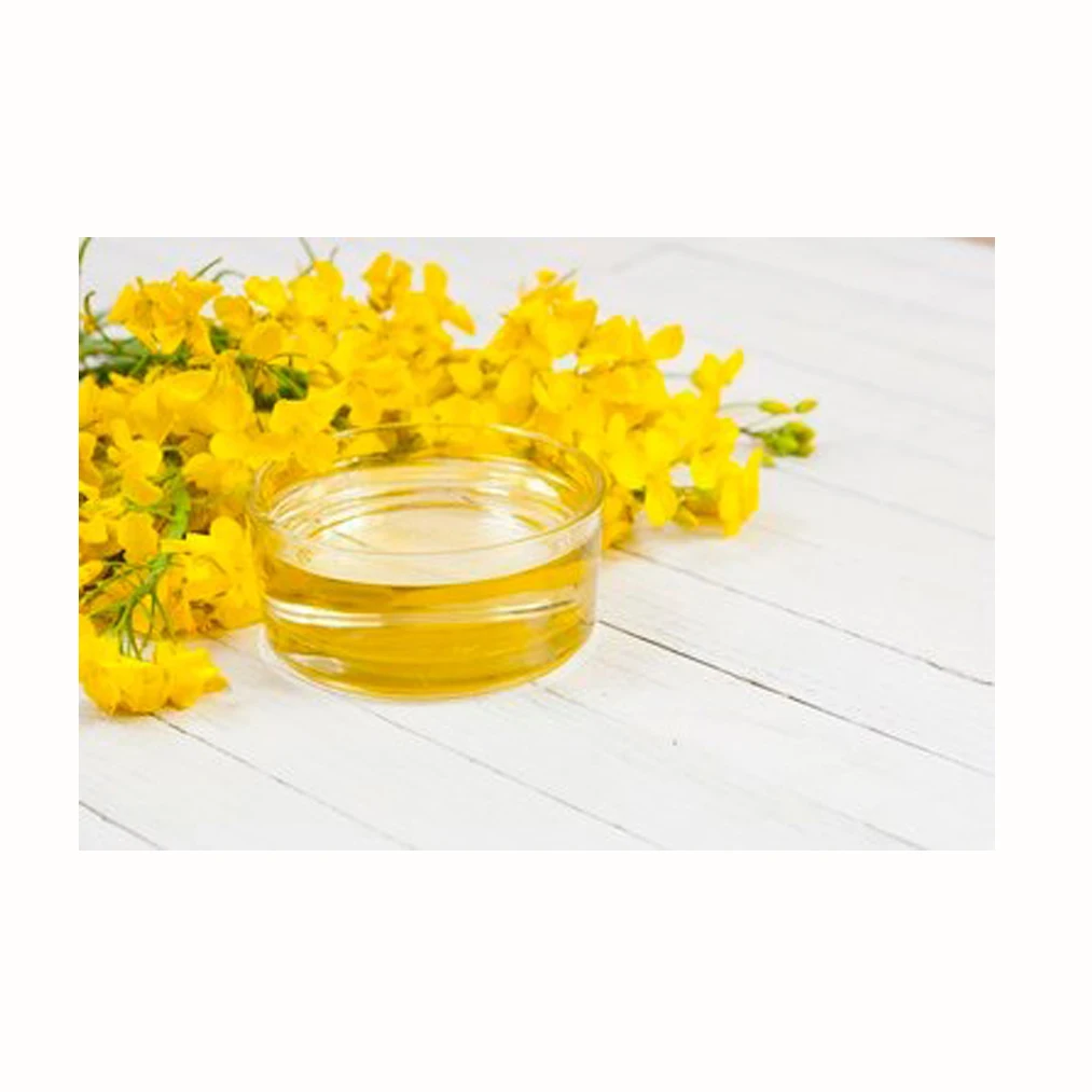 Wholesale Canola Oil Rapeseed Oil Bulk Canola Oil for Sale