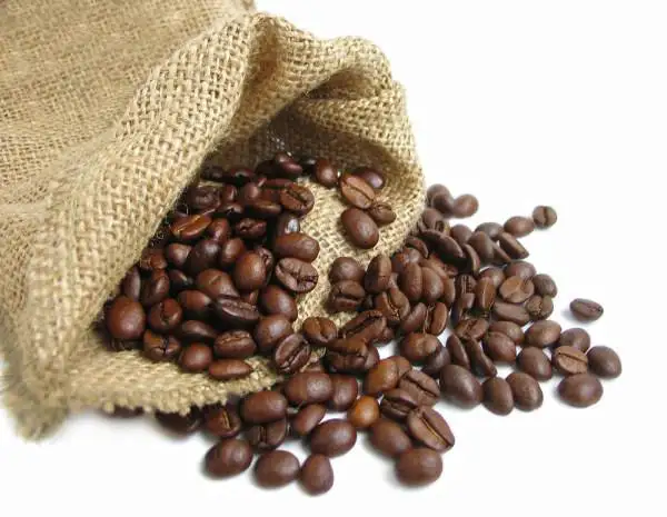 COFFEE 11.jpg