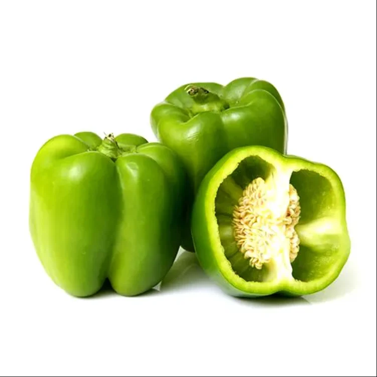 New crop fresh capsicum Chinese colored capsicum fresh green red yellow bell pepper