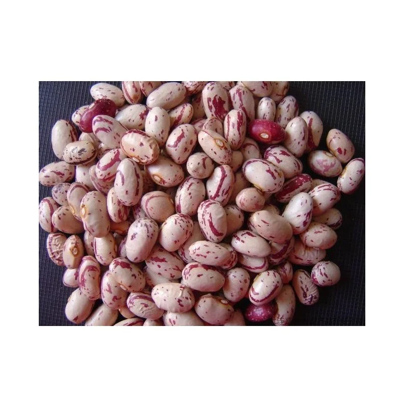 Высокое качество низкая оптовая цена сушеные бобы Pinto Beans/легкие зернистые для