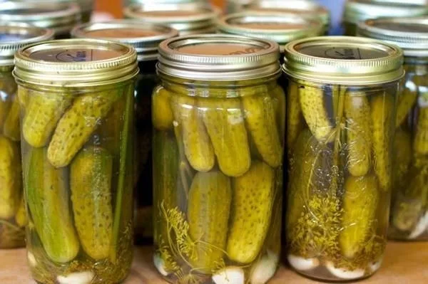 Хит продаж консервированный маринованный огурец кислый вкус лучший поставщик корнишон низкая цена от Вьетнама