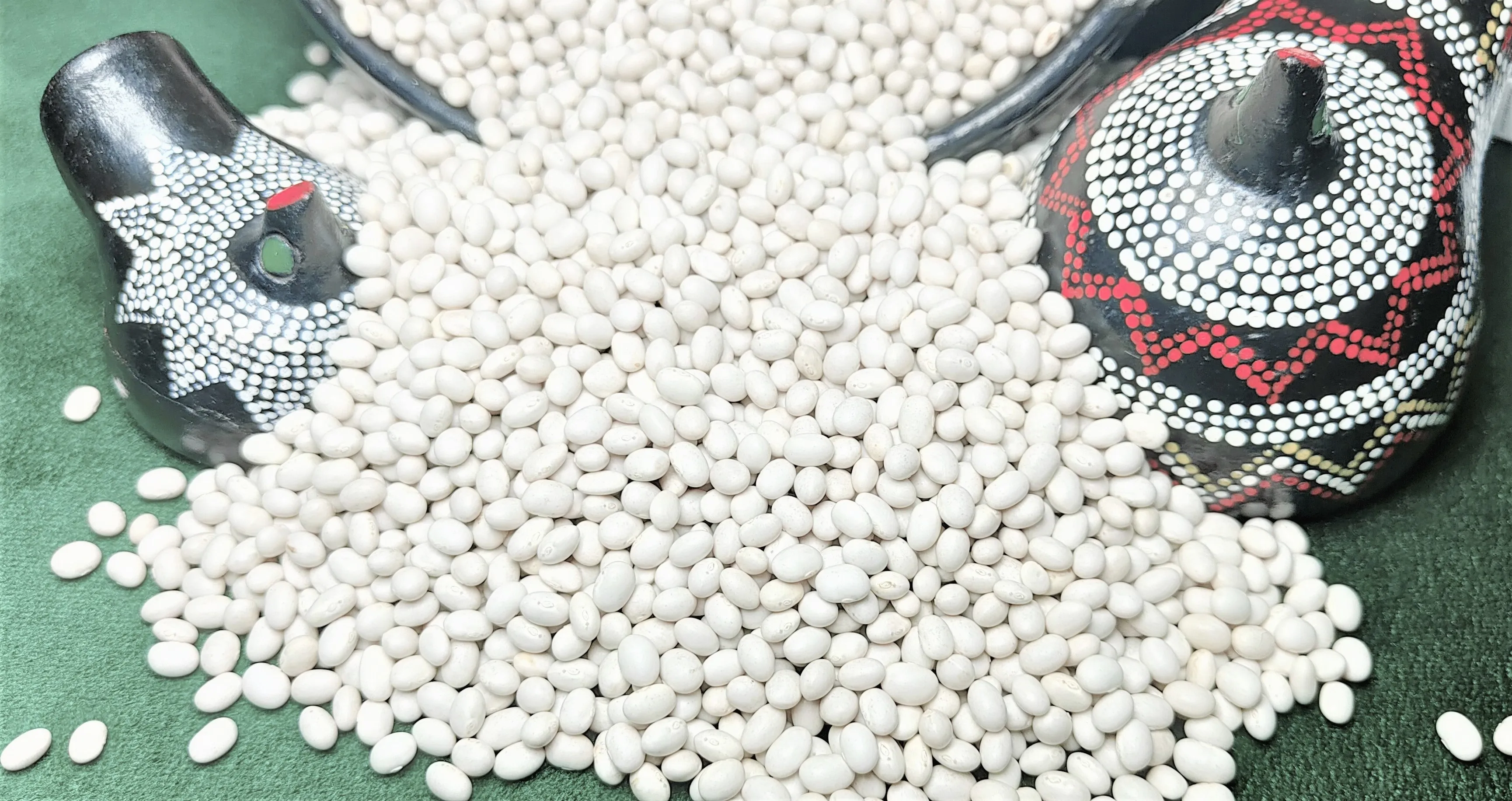 Top Grade Ethiopian White Pea Beans, 2024 Harvest, 420-450PCS, Machine Cleaned & Polished Wholesale Bulk Dried