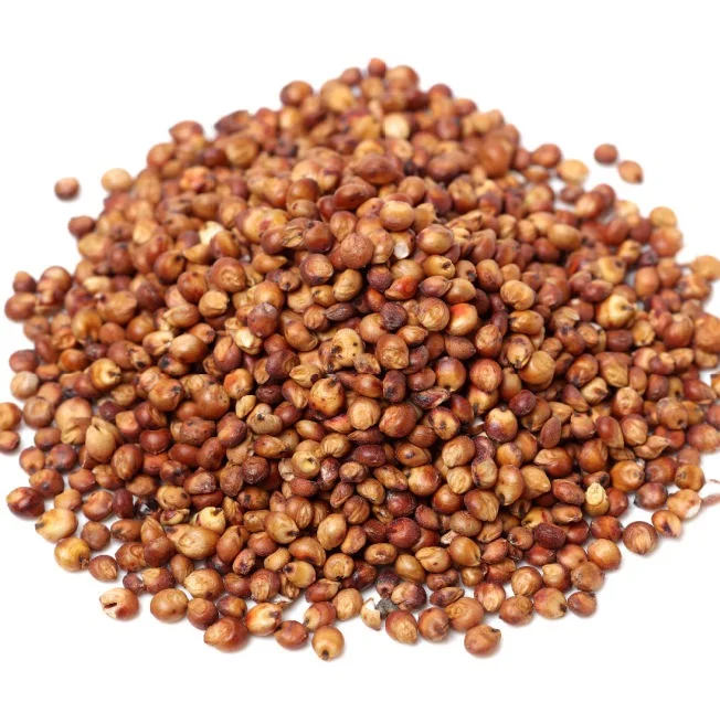 Wholesale Best Price Supplier Red Sweet Sorghum Fast Shipping