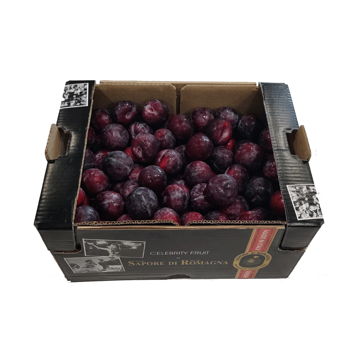 Сыворотки свежие в итальянском стиле, размер 45-50, вес 9 кг