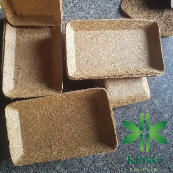 VIETNAM 2024 NEW PRODUCT FOR DRY FOOD VEGETABLE FRUIT PACKAGING ALL KIND FIBER TRAY DURABLE, ECO FRIENDLY HIGH 19cm x WIDE 12cm