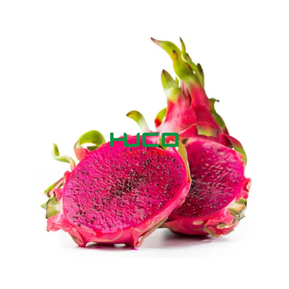 New Crop Fresh Fruit From Viet Nam Premium Quality Red Flesh Dragon Fruit 100% Organic Fresh Fruit