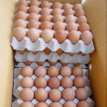 Best Quality Fresh Brown Table Chicken Eggs at Cheap Price World Wide Shipping Available