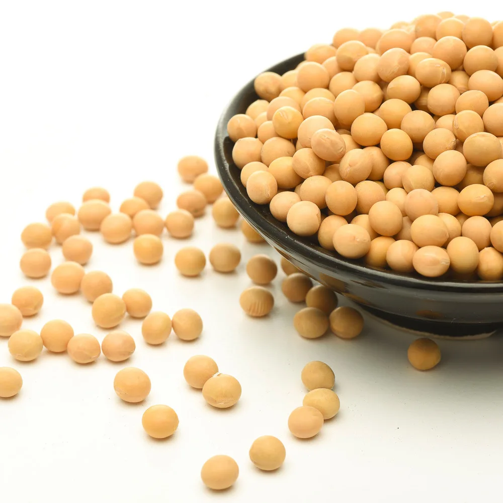 Соевые бобы прямой поставщик/GMO & NON GMO соевые
