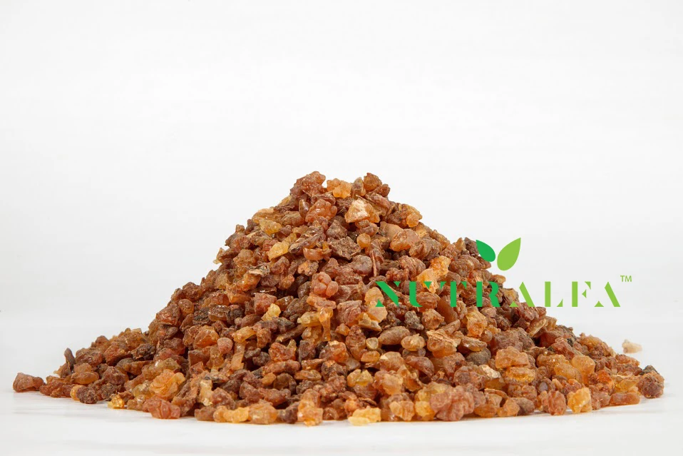 Myrrh Resin Burning Oil 100% Pure High Quality Wholesale Price Myrha Molmol