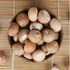 Оптовая цена Высокое качество Pinang raw bettel сушеные индонезийские орехи betel areca nut