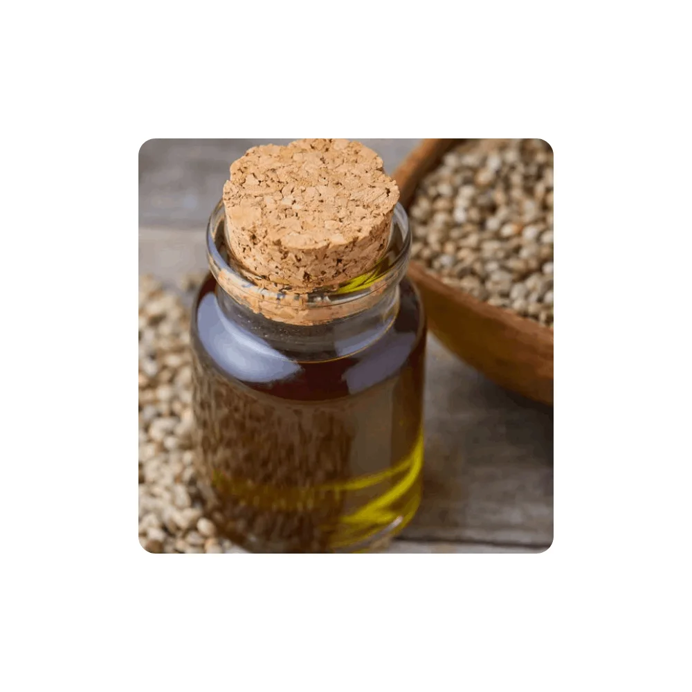 Hemp Seed Oil Pure & Natural for Pain Anxiety & Stress Relief 100% Pure Bulk Hemp Seed Oil Essential Oil for Sale