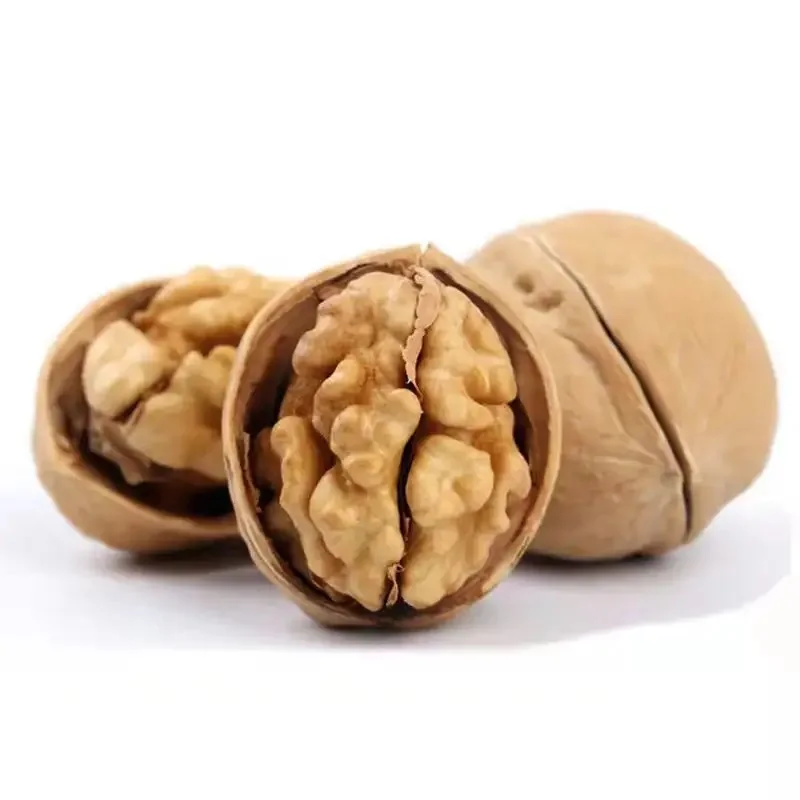 Wholesale High Quality1kg Walnuts Price Walnut in Shell Walnuts