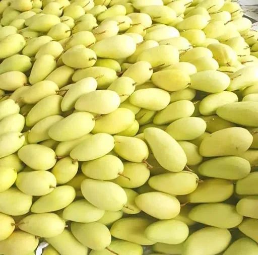 Wholesale Green Skined Mango Statue weight 0,5 -1kg very good price