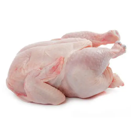 Top Quality Frozen Chicken Fresh Whole/ Feet/ Drumstick/ Head/ Wings/ Neck Chicken