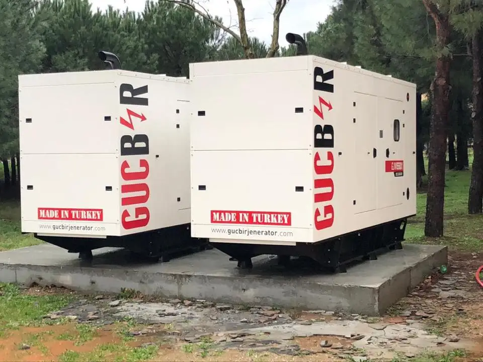 300 kVa Diesel Genset Diesel Generator Alternator ATS CB CANOPY SOUNDPROOF OPEN GENSETS Monophase Threephase Silent