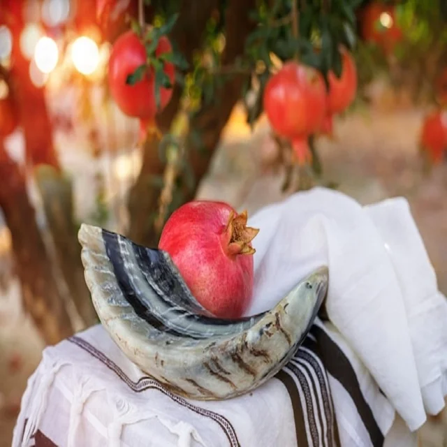 Top Selling Polish Ram Horn Natural Kudu Horns Jewish Religion Music Instrument  Accessories