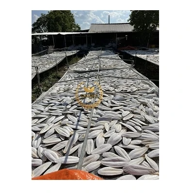 Vietnam high quality Flavored Orange Cuttlebone Cuttlefish Bone for bird Size 4 Inch ready to export