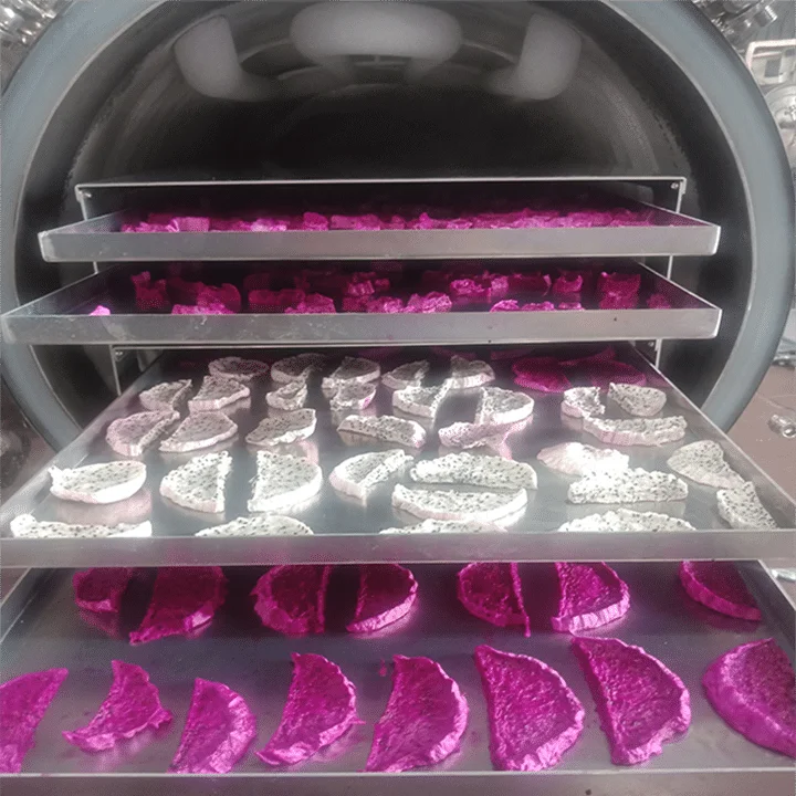 Soft Dried White/Red Dragon Fruit / Pitaya Fruit for export 2022 (Mobile/ WA: 0084 866 078 412 Joyce)