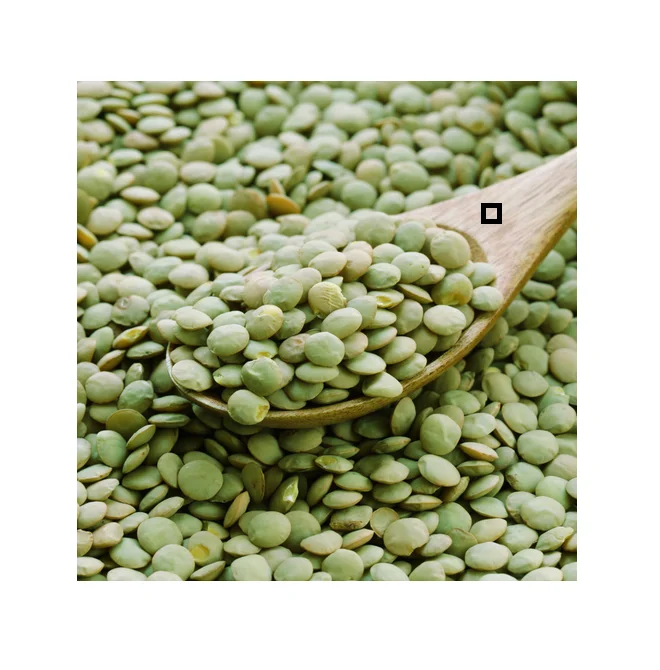 Natural Quality Best Price Football Green Lentils Available In Bulk red lentil Widely Selling Export Quality