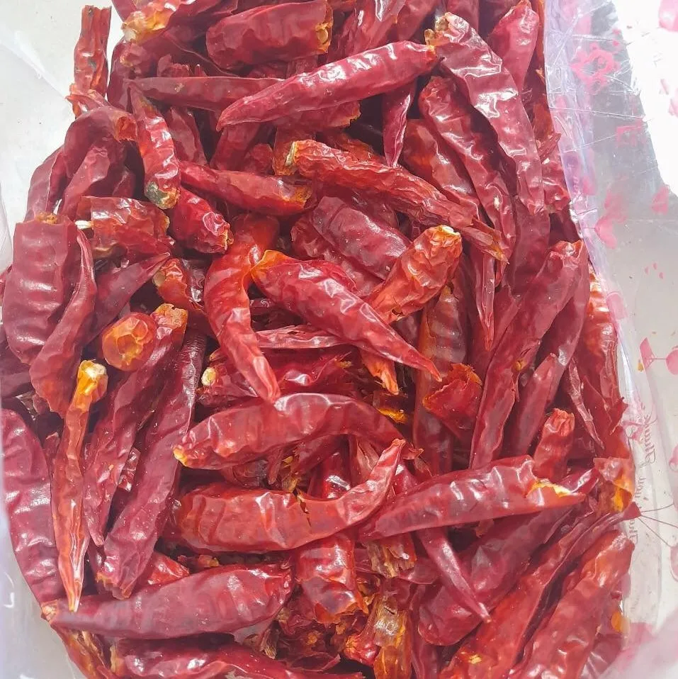 Red Chili Pepper Dried Vietnam Wholesale Hot and Spicy Export Spices & Herbs Products Good Price
