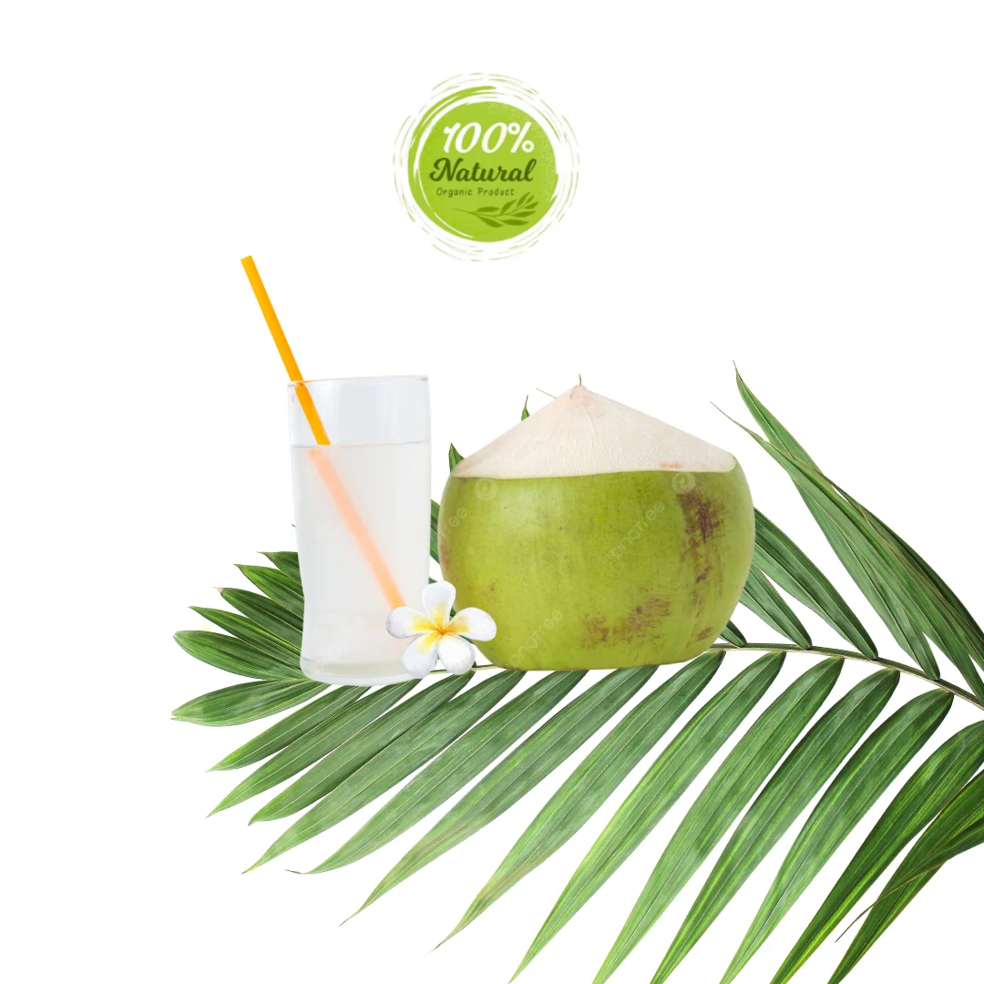 Fresh Coconut from Vietnam - Complete Natural Purity