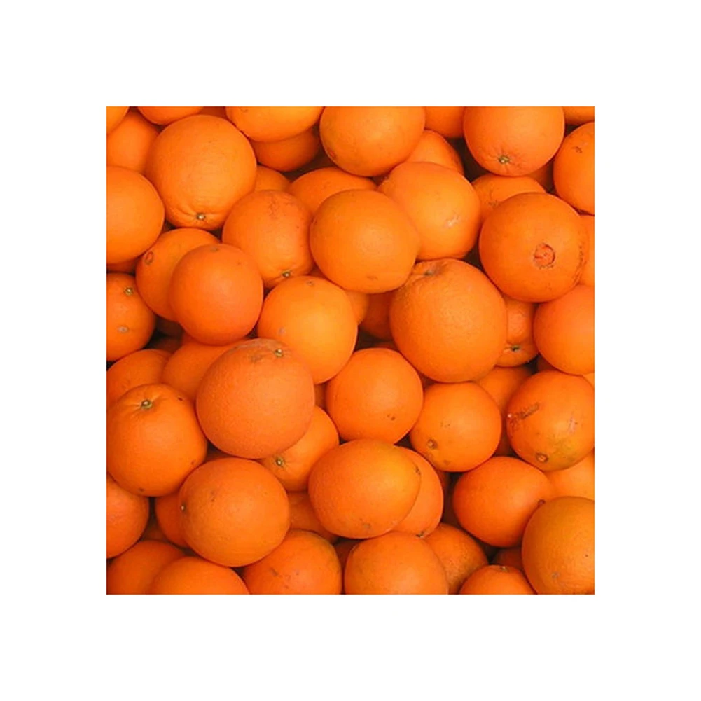Fresh Mandarin Orange/egypt Oranges