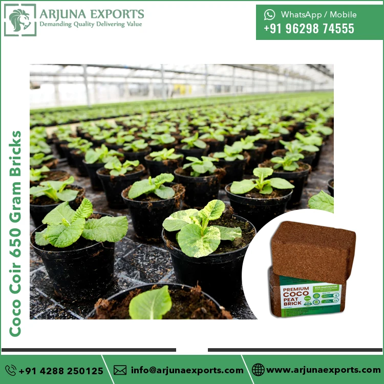 Indian Supplier of Premium Quality Coir Pith or Coco Peat 650gram Bricks for Garden Supplies Potting Mix Hydroponic Growers