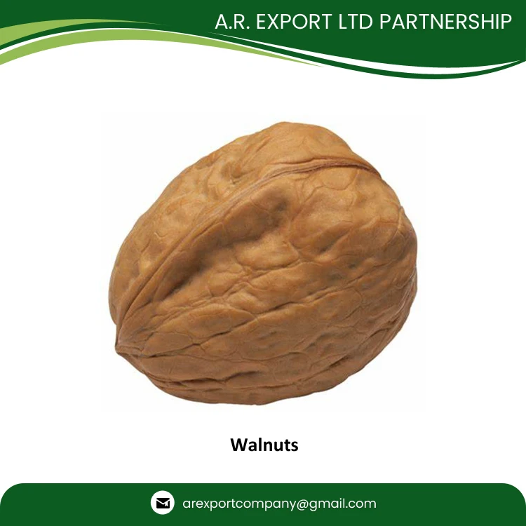 Factory Price Wholesale Traders Supply Top Quality Fresh and Natural Kernels Walnuts in Shell Dry Fruit for Wholesale Buyers
