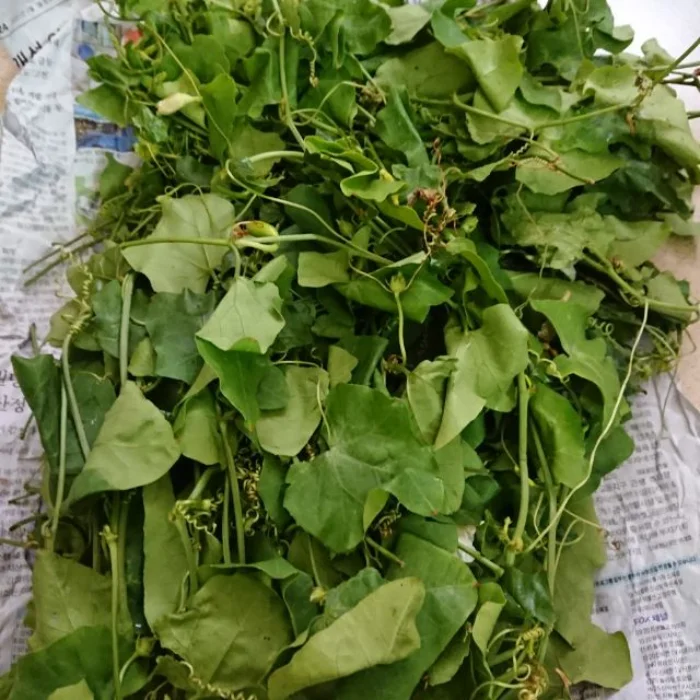 Сушеная Annona Glabra оптом доступна по конкурентоспособной цене