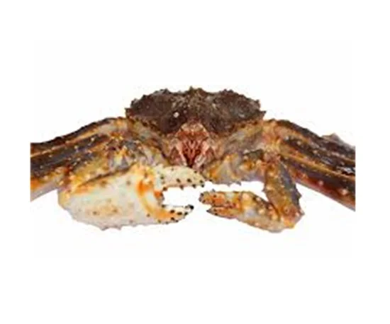 Красный живой Краб оптом живые красные крабы готовы к экспорту