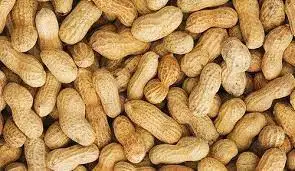 Peanuts Raw In Shell High Quality Peanuts Dried Egypt Top selling Peanuts wholesale bulk new crop