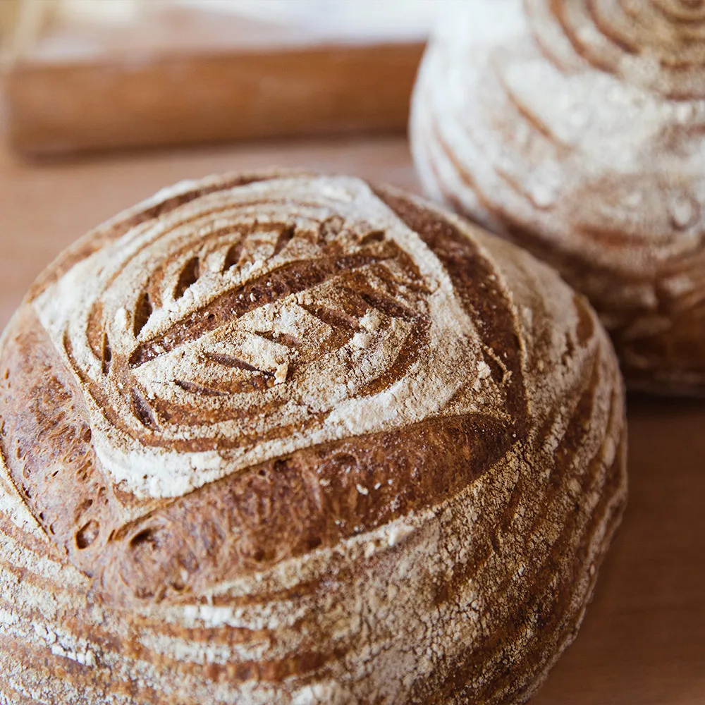 High Quality Italian Premium Organic Bio Flour 25 Kg for Professional Use