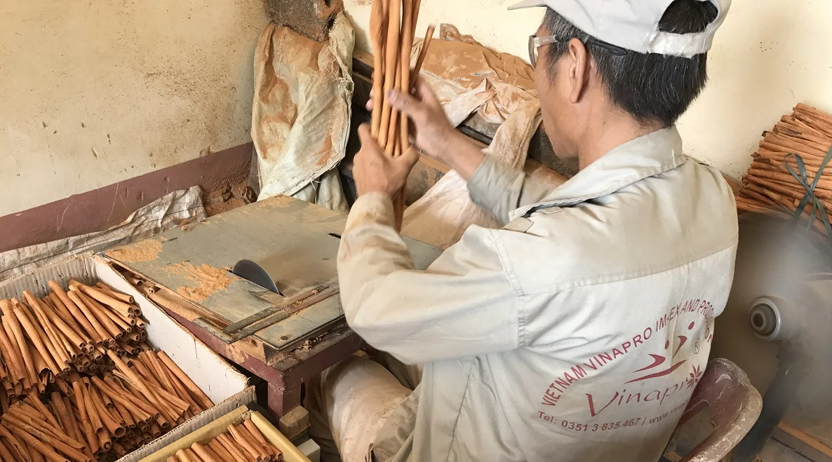 All types of Viet Nam CINNAMON STICK / CASSIA POWDER/ SPLIT CASSIA CINNAMON