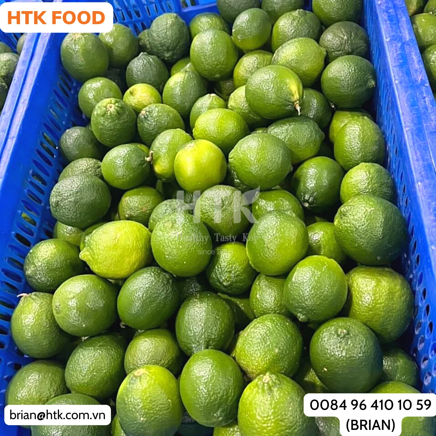 BEST SELLER 2024 FROZEN IQF GREEN LIME Whole Half Cut Sliced Made In Vietnam Factory from HTK FOOD for Food & Beverage