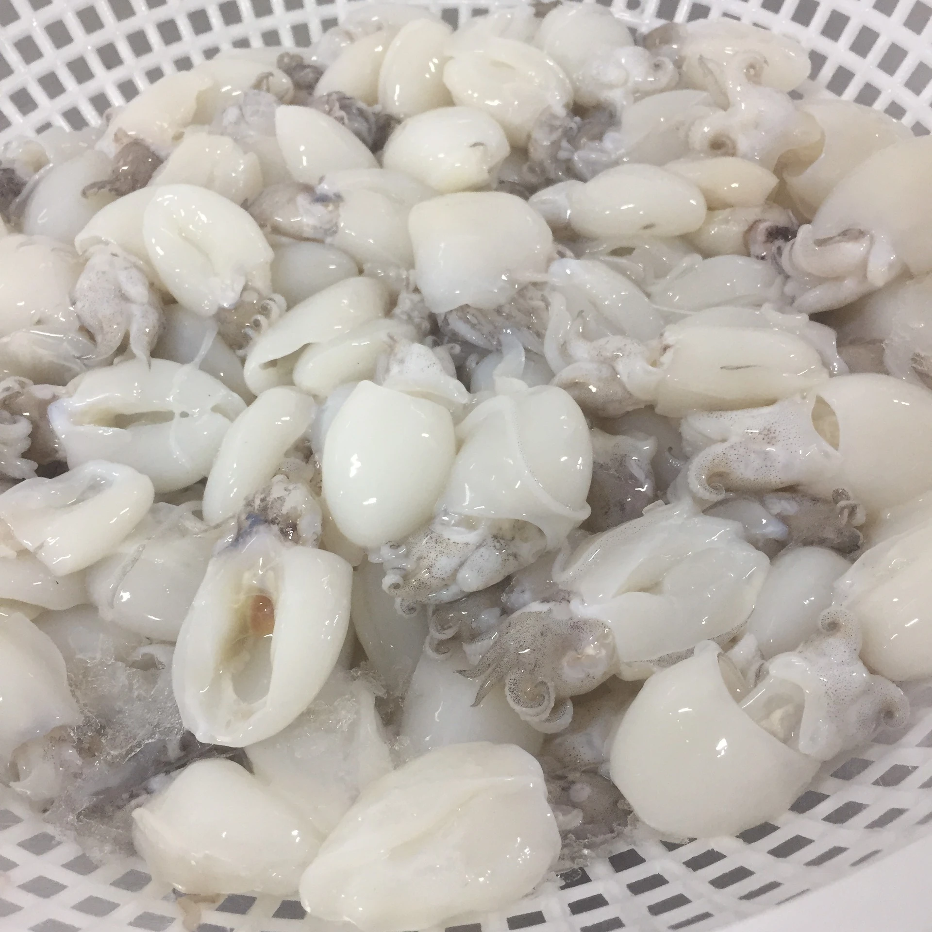 Вакуумная упаковка для замороженных морепродуктов самые продаваемые продукты IQF питательные приготовление каракатиц +